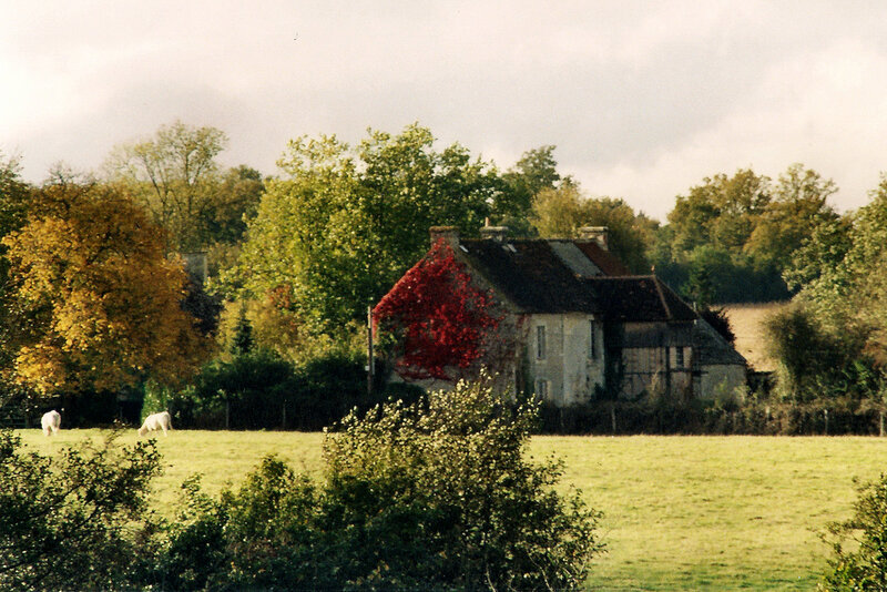 Farmhouse in Autumn Field