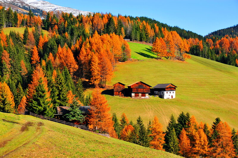 Farmhouse in Autumn Hills — Green