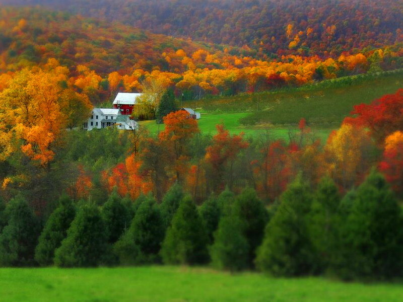 Farmhouse in Autumn Hills
