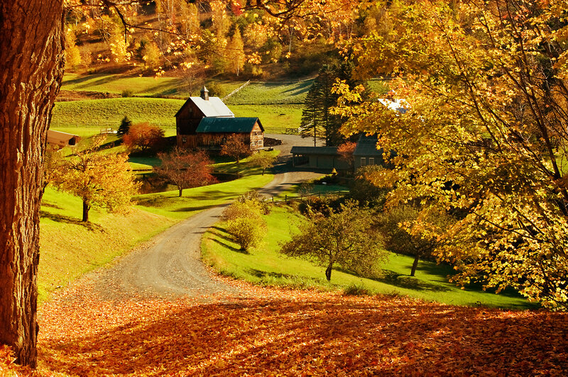 Farmhouse in Autumn — Orange, Serene, Photograph, Barn, Trees