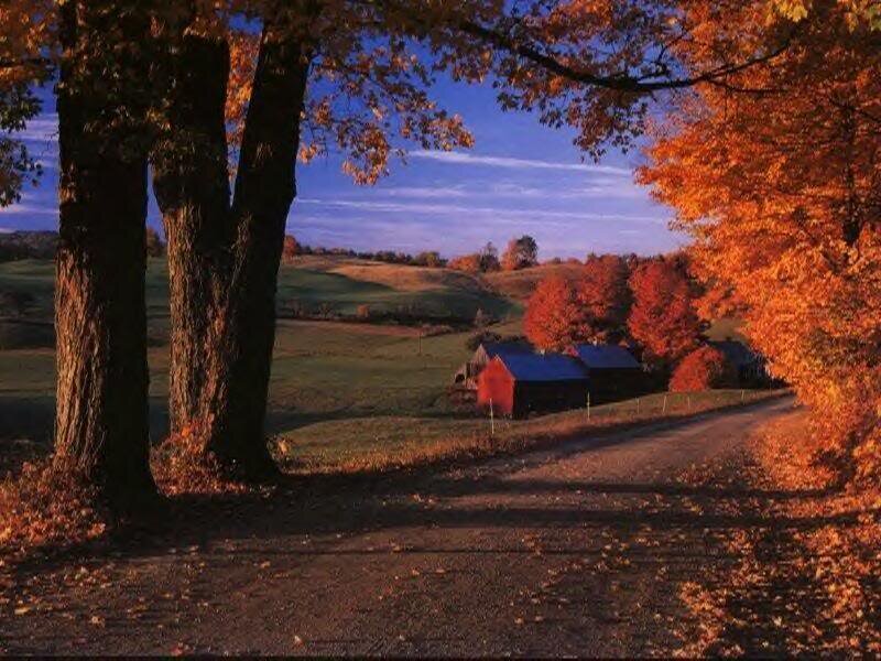 Farmhouse in Autumn — Orange, Serene, Photograph