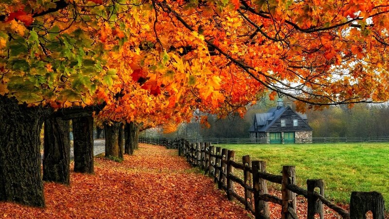 Farmhouse in Autumn — Orange, Serene, Photograph, Trees
