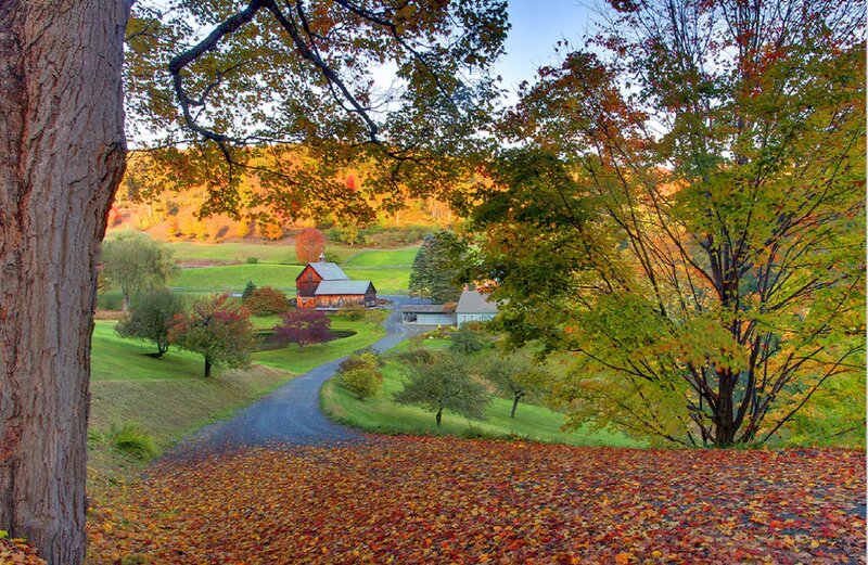 Farmhouse in Autumn — Orange, Serene