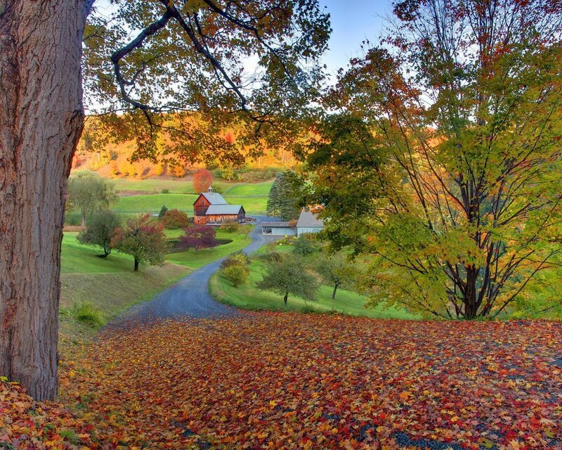Farmhouse in Autumn — Orange