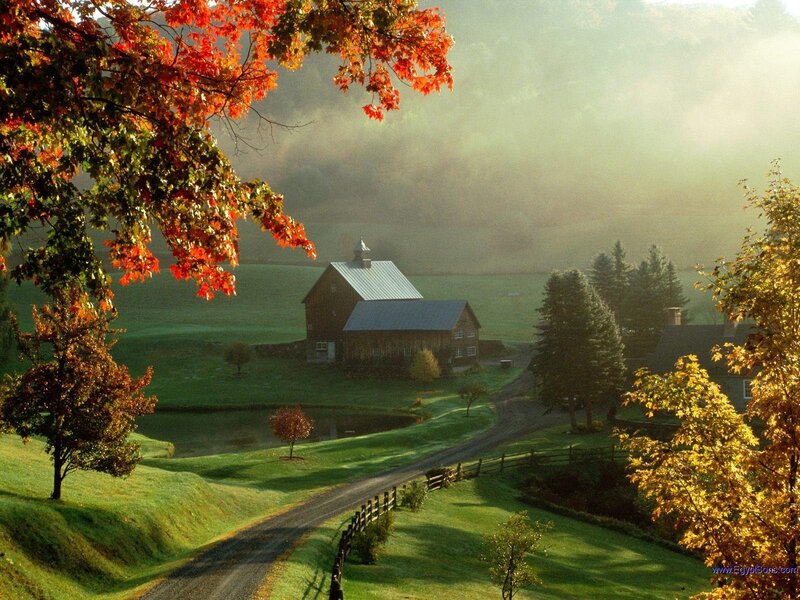 Farmhouse in Autumn Valley — Green, Serene, Morning