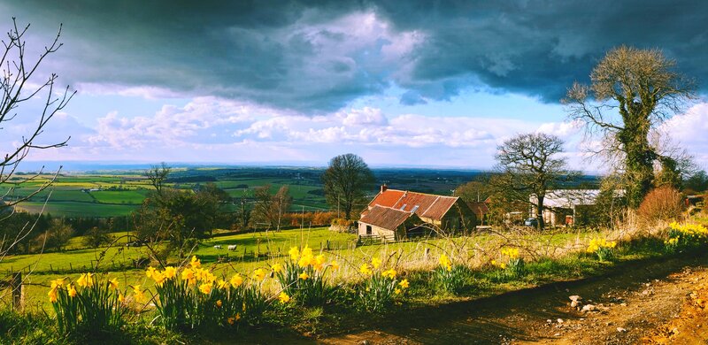 Farmhouse in Countryside