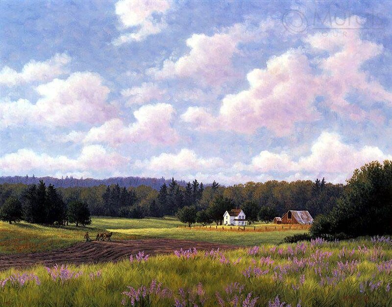 Farmhouse in Field — Green, Serene