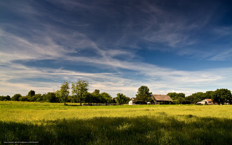 Farmhouse in Field — Green