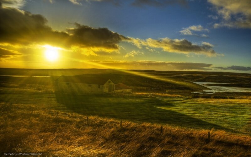 Farmhouse in Field — Yellow, Dramatic