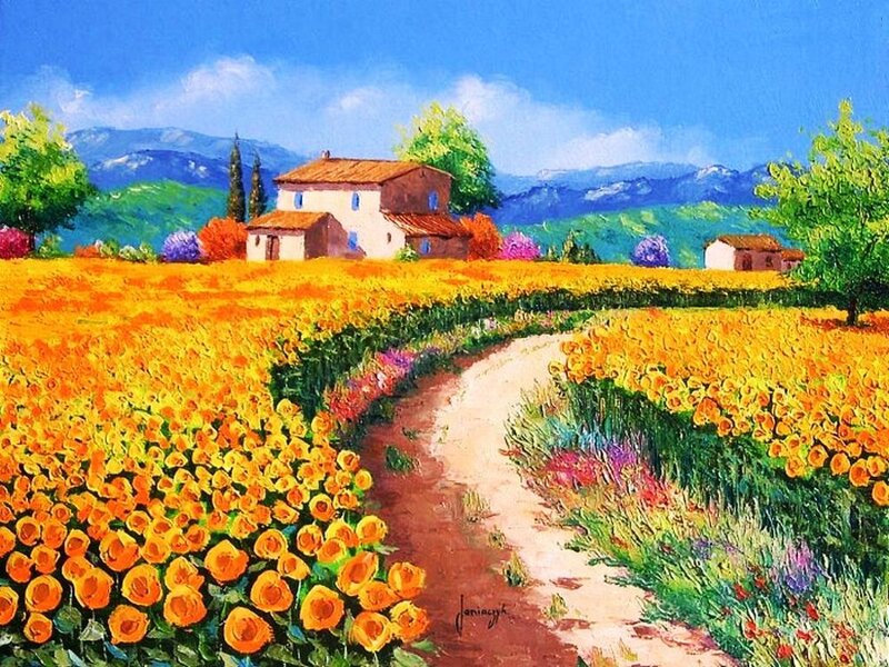 Farmhouse in Flower Field