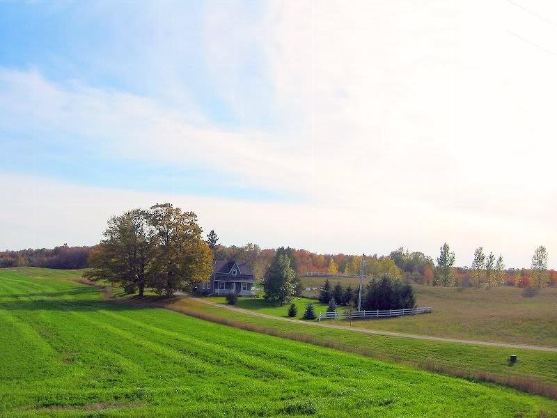 Farmhouse in Green Field — Serene