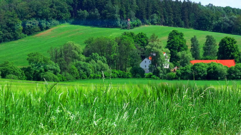 Farmhouse in Green Valley — Serene, Summer