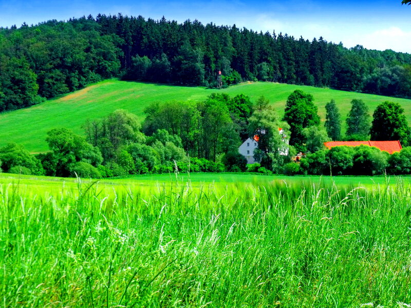 Farmhouse in Green Valley — Serene