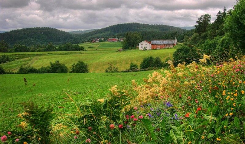 Farmhouse in Green Valley