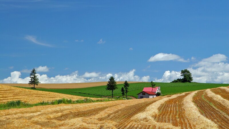Farmhouse in Harvested Fields