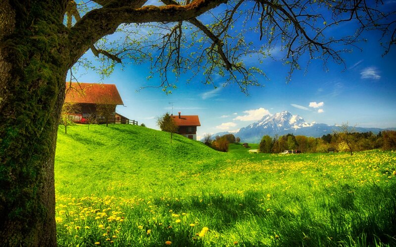 Farmhouse in Meadow — Green