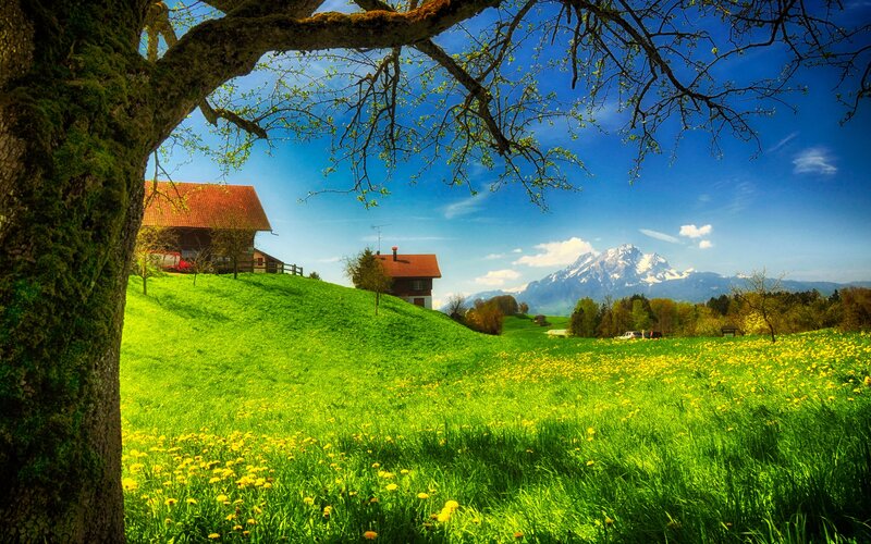 Farmhouse in Meadow