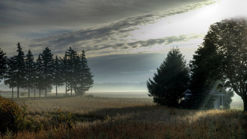 Farmhouse in Misty Field