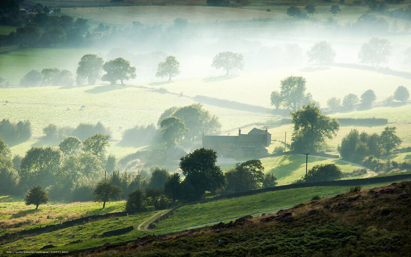 Farmhouse in Misty Valley — Green, Serene, Morning