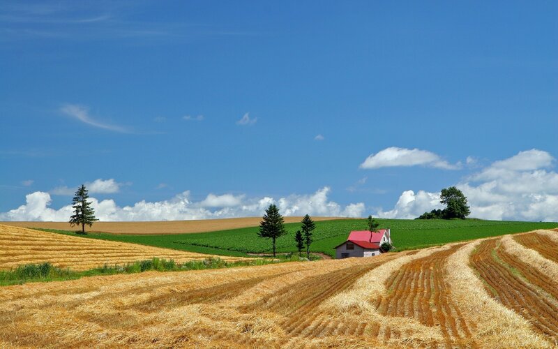 Farmhouse in Rolling Fields