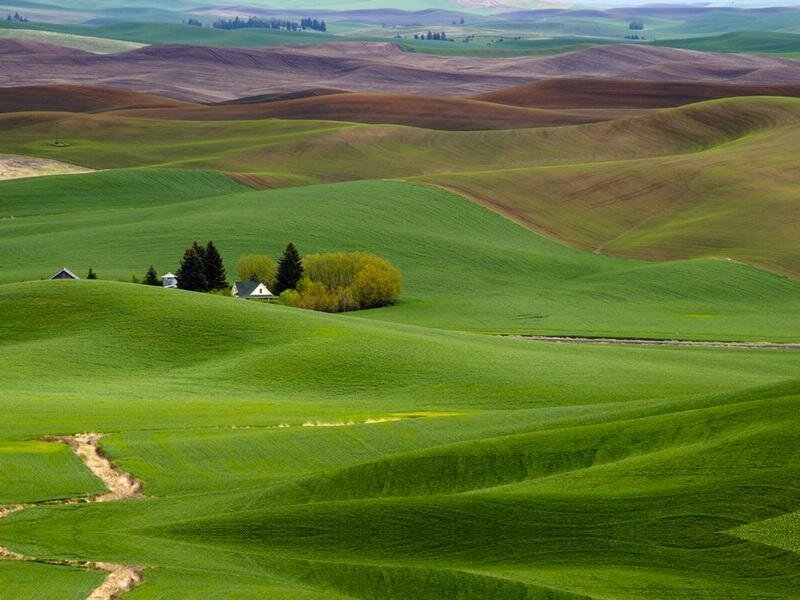 Farmhouse in Rolling Hills