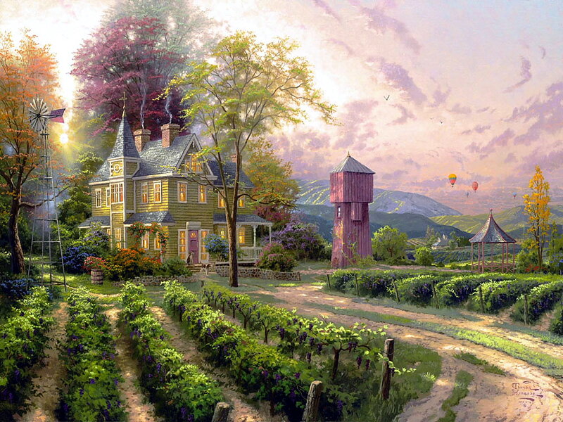 Farmhouse in Vineyard — Green, Serene