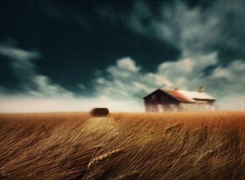 Farmhouse in Wheat Field — Brown, Dramatic