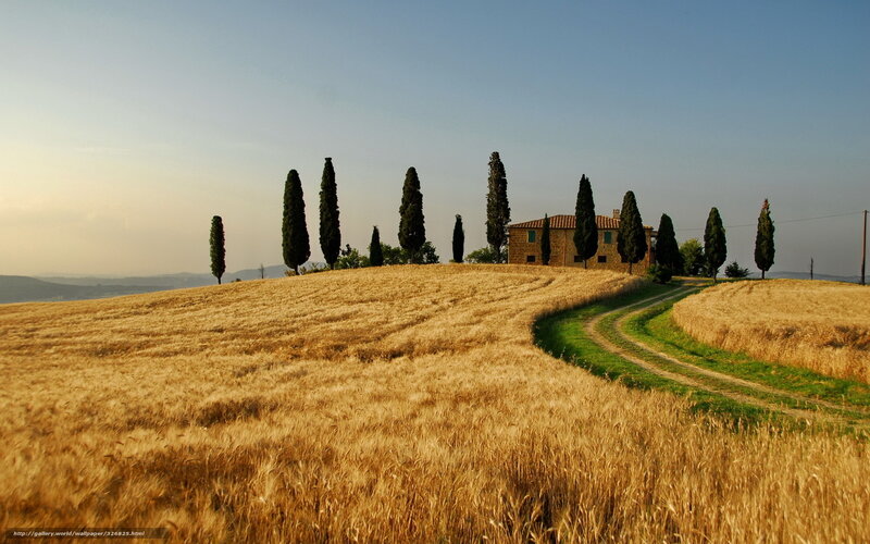 Farmhouse in Wheat Field — Gold