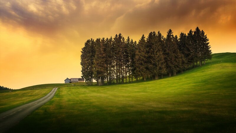 Farmhouse on a Hill — Green, Dramatic