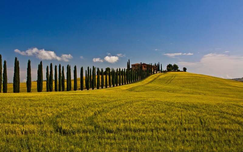 Farmhouse on Hill — Blue