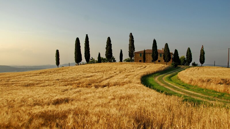 Farmhouse on Hillside — Gold