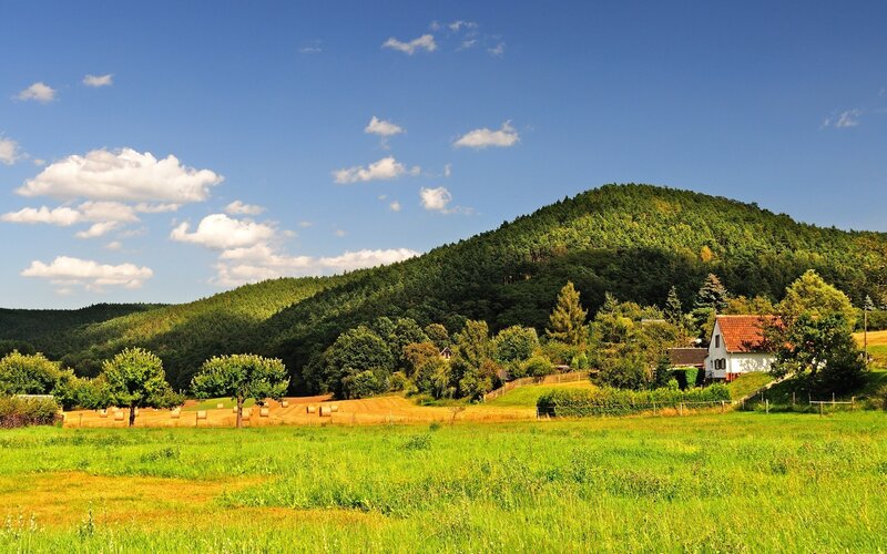 Farmhouse on Hillside — Green, Serene, Afternoon