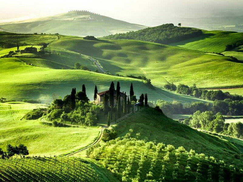 Farmhouse on Hillside — Green, Serene, Morning, Photograph