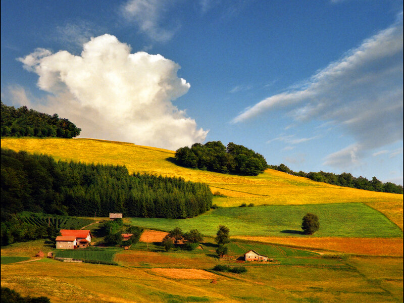Farmhouse on Rolling Hills — Blue