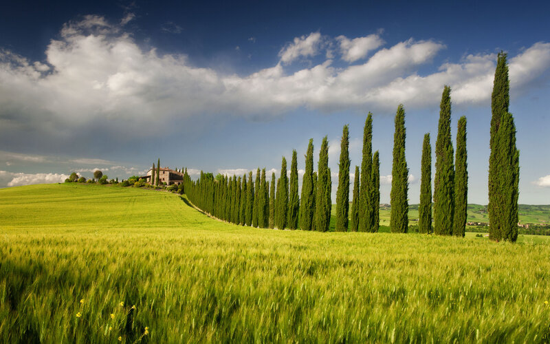 Farmhouse with Cypress Trees