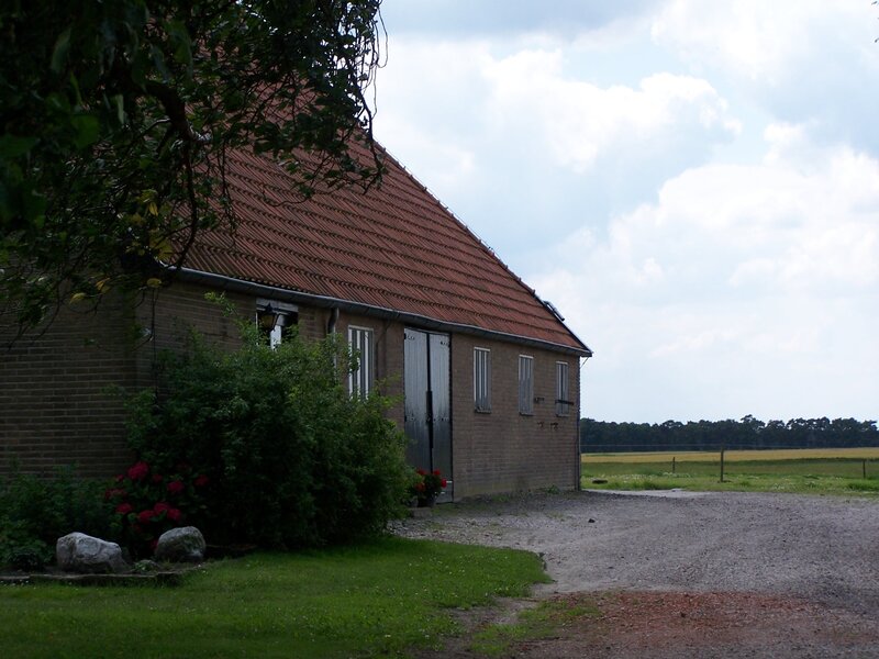 Farmhouse with red roof
