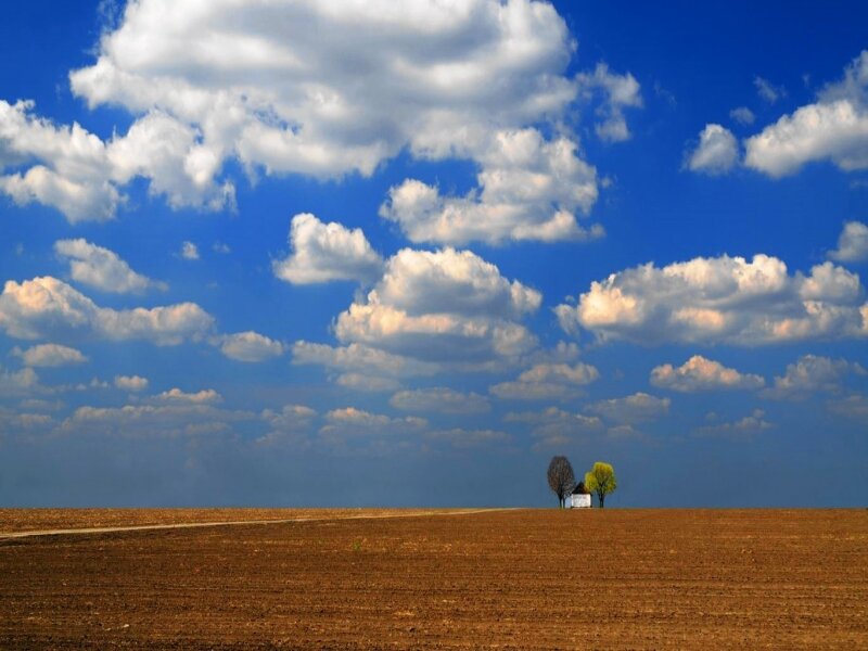 Farmhouse with Trees