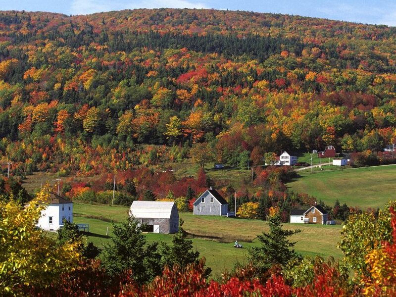 Farmhouses in Autumn Valley