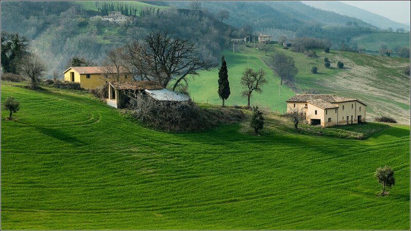 Farmhouses on Green Hills