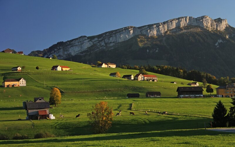 Farmhouses on Hills