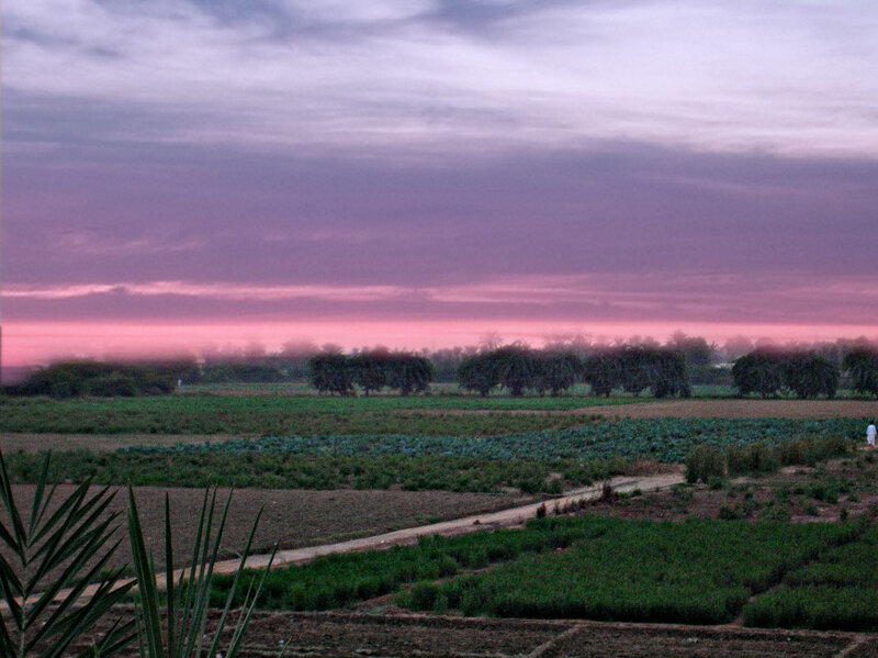Farmland at Dusk