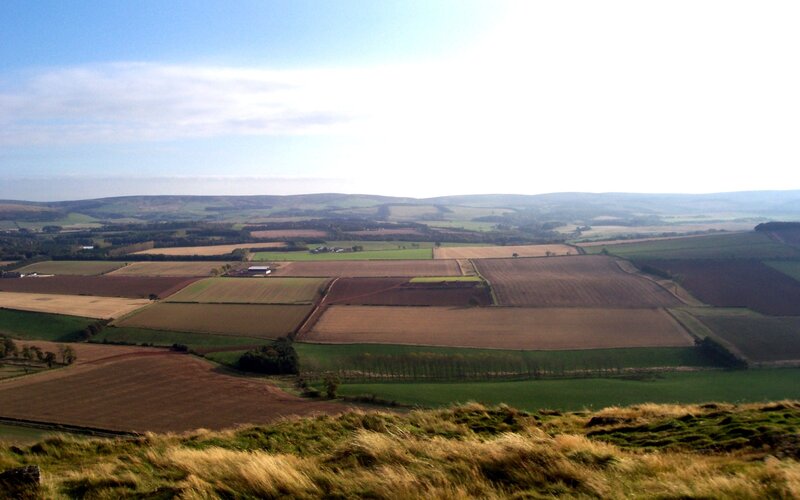 Farmland from Hilltop — Green
