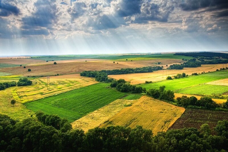 Farmland under Cloudy Sky