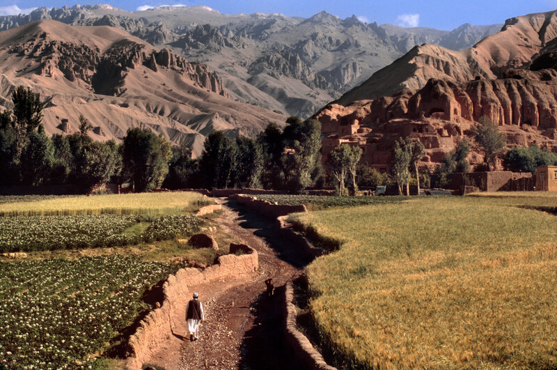 Farmland with mountain backdrop