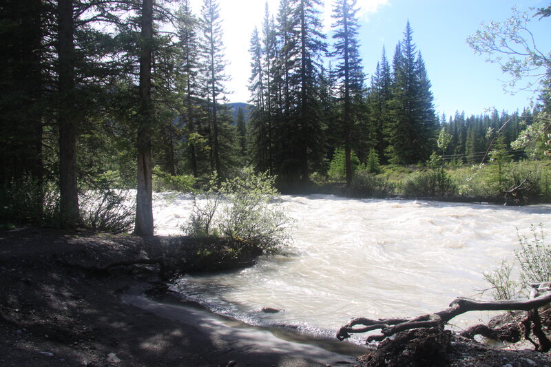 Fast-flowing River — Green, Serene