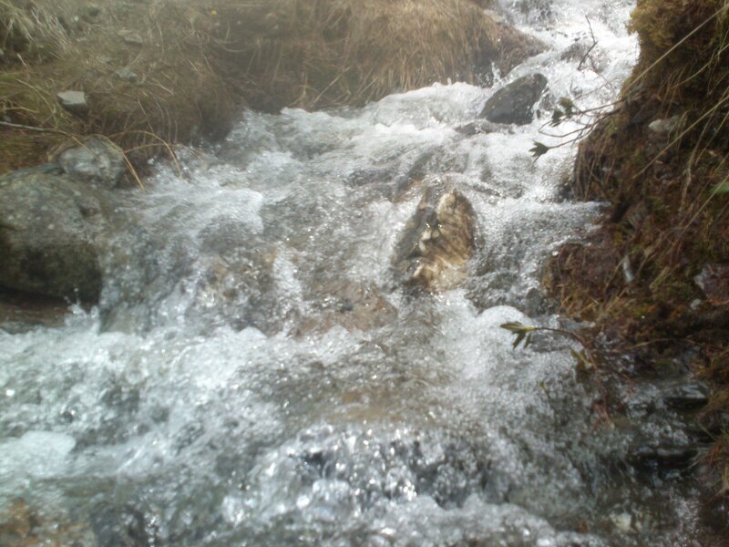 Fast-flowing Stream — Brown