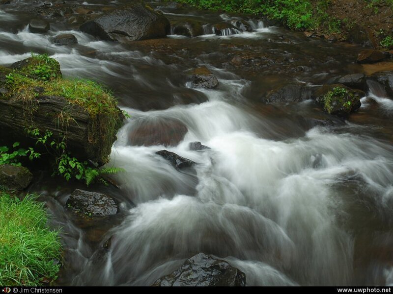 Fast-flowing Stream — Green, Dynamic