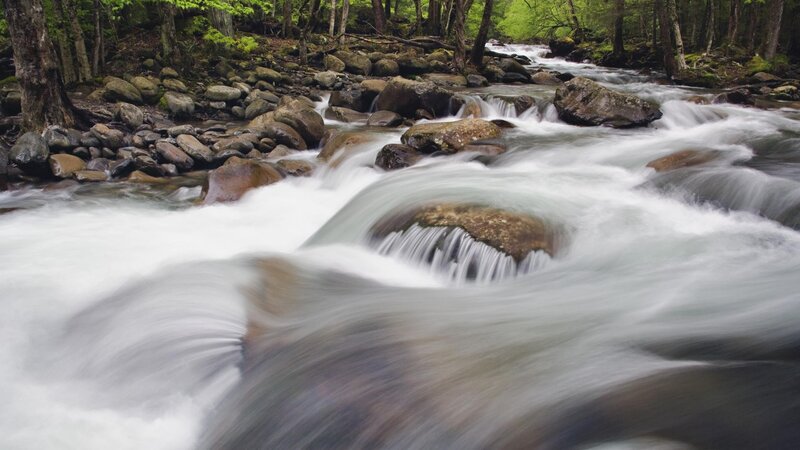 Fast-flowing Stream — Green, Serene