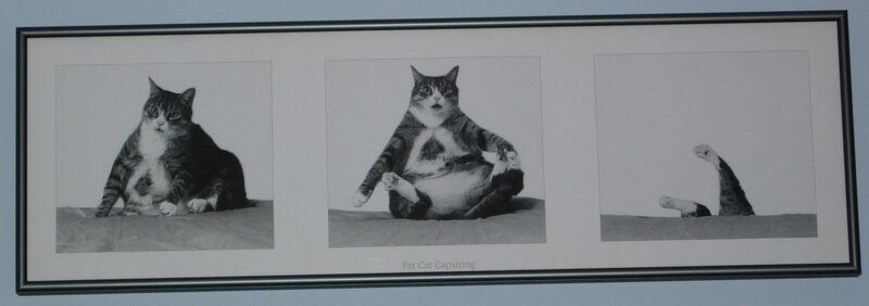 Fat Cat Capsizing
