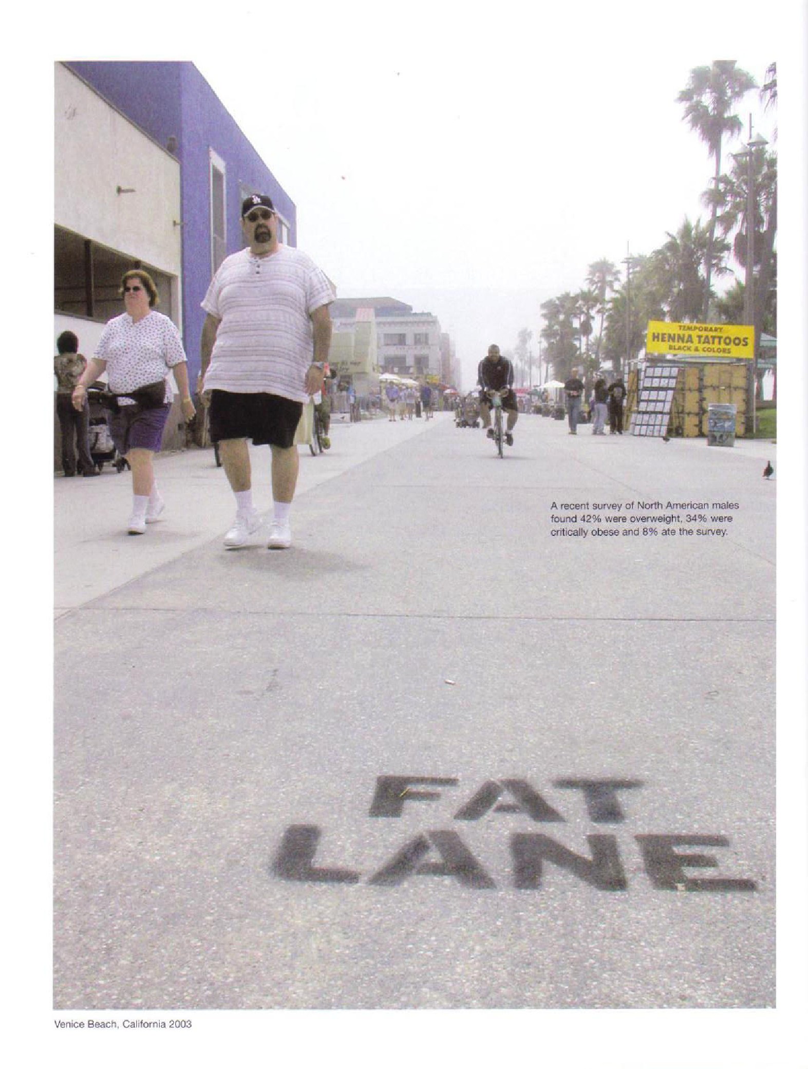Fat Lane street art